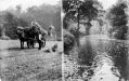 Filename=mlhs_farming_marple_dale.jpg
Filesize=86KiB
Dimensions=500x316
Date added=Dec 24, 2010 mlhs_farming_marple_dale.jpg