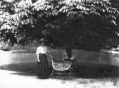 mlhs_lady-with-pram.jpg