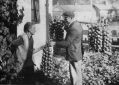 Filename=mlhs_onion-seller.jpg
Filesize=96KiB
Dimensions=500x357
Date added=Jan 16, 2011 mlhs_onion-seller.jpg
