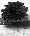 Filename=mlhs_stockport-road-03.jpg
Filesize=110KiB
Dimensions=420x500
Date added=May 15, 2011 mlhs_stockport-road-03.jpg