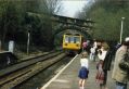 Filename=mlhs_new-pacer-may-1988.jpg
Filesize=95KiB
Dimensions=500x344
Date added=Jul 17, 2011 mlhs_new-pacer-may-1988.jpg