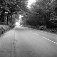 Filename=dan-bank-c1960-2.jpg
Filesize=109KiB
Dimensions=500x500
Date added=Oct 06, 2012 dan-bank-c1960-2.jpg
