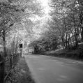 Filename=dan-bank-c1960.jpg
Filesize=129KiB
Dimensions=500x497
Date added=Oct 06, 2012 dan-bank-c1960.jpg