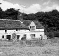 Filename=piers-cottage-c1960-1.jpg
Filesize=117KiB
Dimensions=500x468
Date added=Oct 06, 2012 piers-cottage-c1960-1.jpg