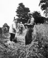 Filename=unknown-workers.jpg
Filesize=74KiB
Dimensions=415x500
Date added=Aug 01, 2013 unknown-workers.jpg