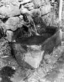 Filename=trough-opp-royal-oak.jpg
Filesize=109KiB
Dimensions=391x500
Date added=Aug 25, 2013 trough-opp-royal-oak.jpg