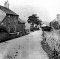 Filename=apple-tree-farm-longhurst-lane.jpg
Filesize=85KiB
Dimensions=500x493
Date added=Jan 04, 2014 apple-tree-farm-longhurst-lane.jpg