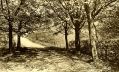 Filename=marple-bridge-postcard-letter-6.jpg
Filesize=105KiB
Dimensions=500x304
Date added=Feb 01, 2014 marple-bridge-postcard-letter-6.jpg