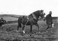richard-sutton-frank-podnor-c1920.jpg