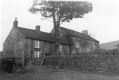 Filename=the-blackberries.jpg
Filesize=39KiB
Dimensions=500x334
Date added=Feb 01, 2014 the-blackberries.jpg
