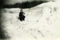 Filename=snow-hawk-green.jpg
Filesize=41KiB
Dimensions=500x331
Date added=Aug 14, 2011 snow-hawk-green.jpg
