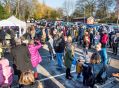 Filename=rosehillstation171118_020.jpg
Filesize=126KiB
Dimensions=500x369
Date added=Nov 24, 2018 rosehillstation171118_020.jpg