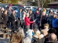 Filename=rosehillstation171118_041.jpg
Filesize=117KiB
Dimensions=500x375
Date added=Nov 24, 2018 rosehillstation171118_041.jpg