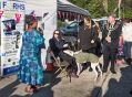 Filename=rosehillstation171118_066.jpg
Filesize=110KiB
Dimensions=500x367
Date added=Nov 24, 2018 rosehillstation171118_066.jpg