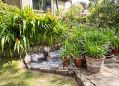 Filename=mgardens7718_04.jpg
Filesize=170KiB
Dimensions=500x359
Date added=Jul 14, 2018 mgardens7718_04.jpg
