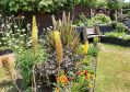 Filename=mgardens7718_105.jpg
Filesize=162KiB
Dimensions=500x354
Date added=Jul 14, 2018 mgardens7718_105.jpg