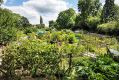Filename=mgardens7718_110.jpg
Filesize=157KiB
Dimensions=500x334
Date added=Jul 14, 2018 mgardens7718_110.jpg