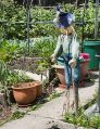Filename=mgardens7718_113.jpg
Filesize=157KiB
Dimensions=384x500
Date added=Jul 14, 2018 mgardens7718_113.jpg