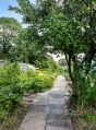 Filename=mgardens7718_114.jpg
Filesize=166KiB
Dimensions=370x500
Date added=Jul 14, 2018 mgardens7718_114.jpg