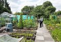 Filename=mgardens7718_124.jpg
Filesize=139KiB
Dimensions=500x348
Date added=Jul 14, 2018 mgardens7718_124.jpg