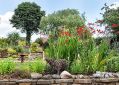Filename=mgardens7718_129.jpg
Filesize=150KiB
Dimensions=500x355
Date added=Jul 14, 2018 mgardens7718_129.jpg