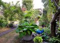 Filename=mgardens7718_13.jpg
Filesize=170KiB
Dimensions=500x362
Date added=Jul 14, 2018 mgardens7718_13.jpg