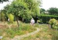 Filename=mgardens7718_132.jpg
Filesize=153KiB
Dimensions=500x348
Date added=Jul 14, 2018 mgardens7718_132.jpg