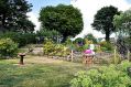 Filename=mgardens7718_137.jpg
Filesize=136KiB
Dimensions=500x332
Date added=Jul 14, 2018 mgardens7718_137.jpg