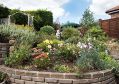 Filename=mgardens7718_145.jpg
Filesize=138KiB
Dimensions=500x353
Date added=Jul 14, 2018 mgardens7718_145.jpg