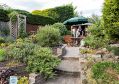 Filename=mgardens7718_146.jpg
Filesize=148KiB
Dimensions=500x350
Date added=Jul 14, 2018 mgardens7718_146.jpg
