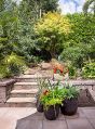 Filename=mgardens7718_150.jpg
Filesize=164KiB
Dimensions=368x500
Date added=Jul 14, 2018 mgardens7718_150.jpg