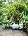 Filename=mgardens7718_16.jpg
Filesize=181KiB
Dimensions=386x500
Date added=Jul 14, 2018 mgardens7718_16.jpg