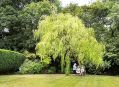 Filename=mgardens7718_161.jpg
Filesize=155KiB
Dimensions=500x365
Date added=Jul 14, 2018 mgardens7718_161.jpg