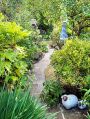 Filename=mgardens7718_17.jpg
Filesize=189KiB
Dimensions=377x500
Date added=Jul 14, 2018 mgardens7718_17.jpg