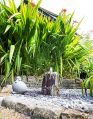 Filename=mgardens7718_18.jpg
Filesize=157KiB
Dimensions=389x500
Date added=Jul 14, 2018 mgardens7718_18.jpg
