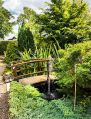 Filename=mgardens7718_187.jpg
Filesize=196KiB
Dimensions=382x500
Date added=Jul 14, 2018 mgardens7718_187.jpg
