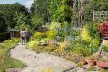 Filename=mgardens7718_194.jpg
Filesize=156KiB
Dimensions=500x335
Date added=Jul 14, 2018 mgardens7718_194.jpg