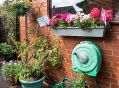 Filename=mgardens7718_21.jpg
Filesize=152KiB
Dimensions=500x367
Date added=Jul 14, 2018 mgardens7718_21.jpg