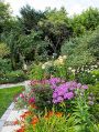 Filename=mgardens7718_24.jpg
Filesize=180KiB
Dimensions=378x500
Date added=Jul 14, 2018 mgardens7718_24.jpg