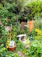 Filename=mgardens7718_25.jpg
Filesize=200KiB
Dimensions=369x500
Date added=Jul 14, 2018 mgardens7718_25.jpg