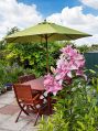Filename=mgardens7718_30.jpg
Filesize=124KiB
Dimensions=374x500
Date added=Jul 14, 2018 mgardens7718_30.jpg
