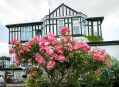 mgardens7718_33.jpg