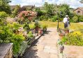 mgardens7718_35.jpg