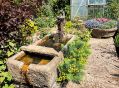 mgardens7718_37.jpg
