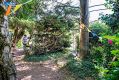 Filename=mgardens7718_51.jpg
Filesize=160KiB
Dimensions=500x334
Date added=Jul 14, 2018 mgardens7718_51.jpg