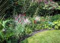 Filename=mgardens7718_59.jpg
Filesize=169KiB
Dimensions=500x358
Date added=Jul 14, 2018 mgardens7718_59.jpg