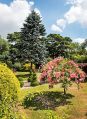 mgardens7718_62.jpg