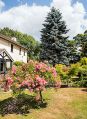 mgardens7718_63.jpg