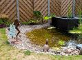 Filename=mgardens7718_67.jpg
Filesize=154KiB
Dimensions=500x363
Date added=Jul 14, 2018 mgardens7718_67.jpg