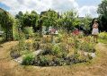 mgardens7718_86.jpg